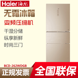 Haier/海尔 BCD-262WDGB