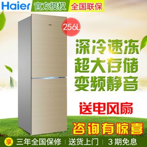 Haier/海尔 BCD-256WDGK