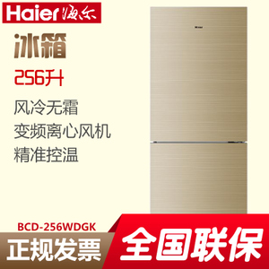 Haier/海尔 BCD-256WDGK