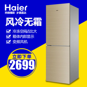 Haier/海尔 BCD-256WDGK