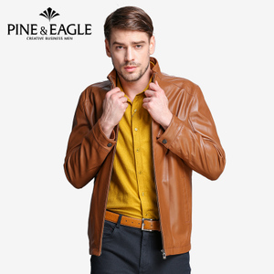 Pine&eagle/松鹰 26426508-700