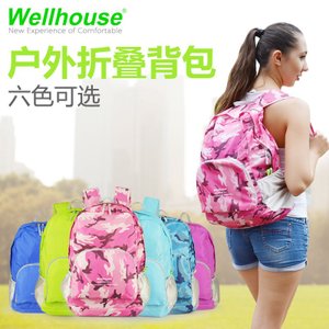 Wellhouse WH-00399