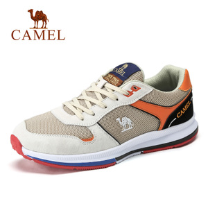 Camel/骆驼 A712336350
