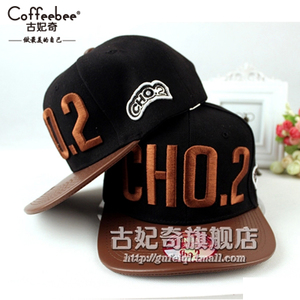 HD15538-1-CHO2