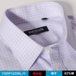 Youngor/雅戈尔 YSDP12208LBY-12206