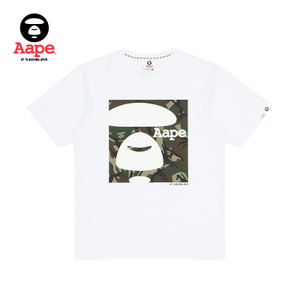 Aape AAPTEM2415XX6