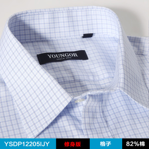 Youngor/雅戈尔 YSDP12209IBY-12205