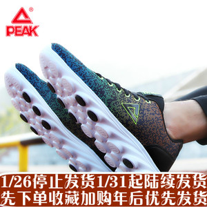 Peak/匹克 DH710601