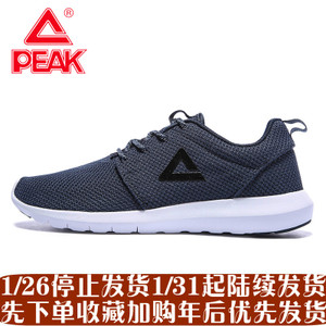 Peak/匹克 DE711391