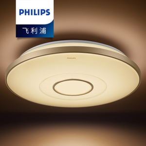 Philips/飞利浦 LED61038