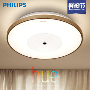 Philips/飞利浦 LED61040