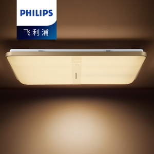 Philips/飞利浦 LED61037