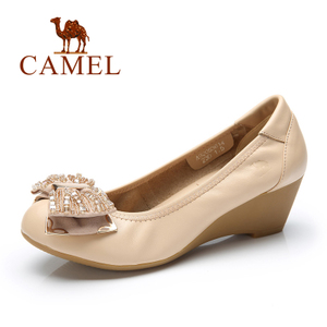 Camel/骆驼 A71053610