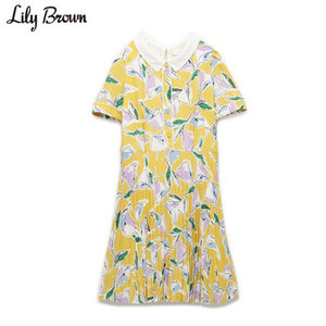 Lily Brown LWFO156021
