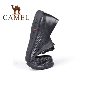 Camel/骆驼 2155257