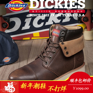 Dickies SD-164M50LXS84