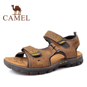 Camel/骆驼 2211212