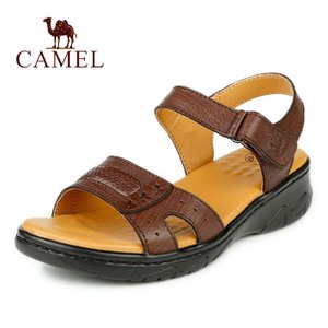 Camel/骆驼 A1319015