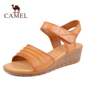 Camel/骆驼 A162153075