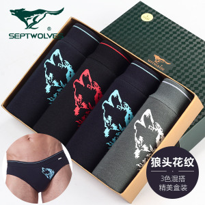 Septwolves/七匹狼 03501-431