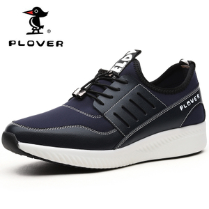 Plover A02173