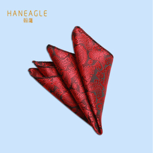 HANEAGLE/翰鹰 HYFJ02