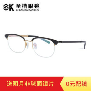 SK31011