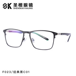 SKF023-C01