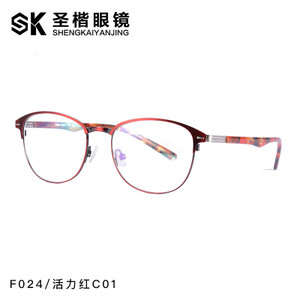 SKF024-C01