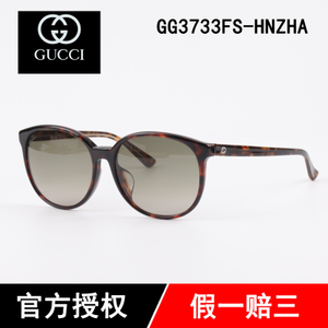 GG3733FS-HNZHA