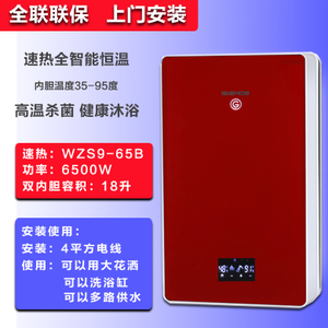 GWL-ZS9-55B-6500W