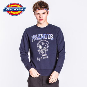 Dickies 171U30PT01