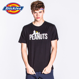 Dickies 171U30PT07