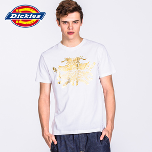 Dickies 171U30WD01