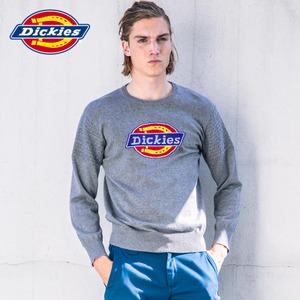 Dickies 171M30WD01