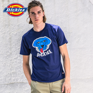 Dickies 171U30WD04