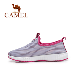 Camel/骆驼 A71330616