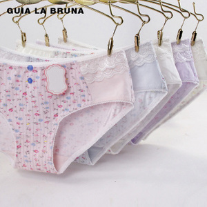 Guia la Bruna GB-8016