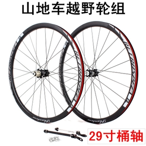 VISp RS-PH29