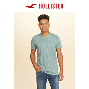 Hollister 148946