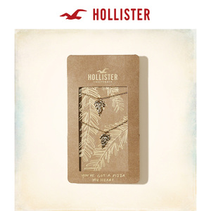 Hollister 147077