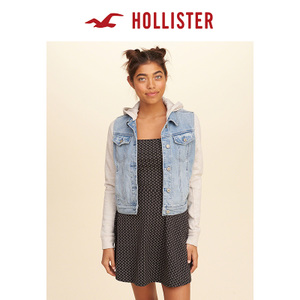 Hollister 138313