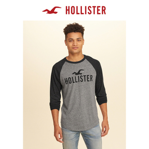 Hollister 161452