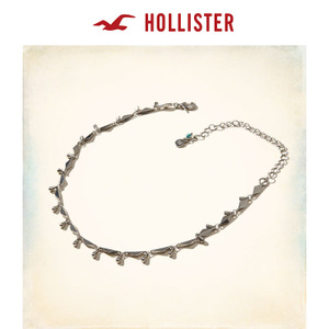 Hollister 152136