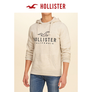 Hollister 148049