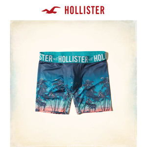 Hollister 144208