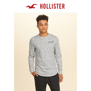 Hollister 161451