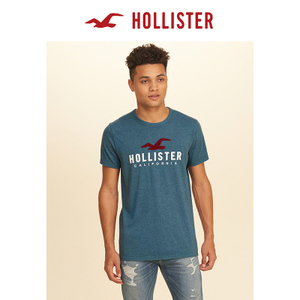 Hollister 147982