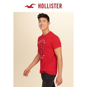 Hollister 140489