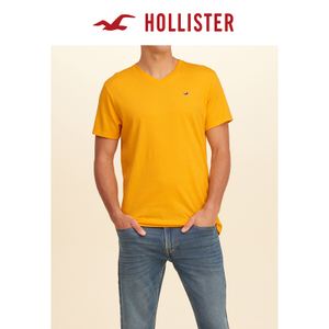 Hollister 141346